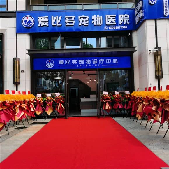 爱比多宠物医院(国宾台店):台州市临海市古城街道附近