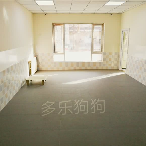 多乐狗狗宠物训练工作室:北京城区朝阳区望京附近