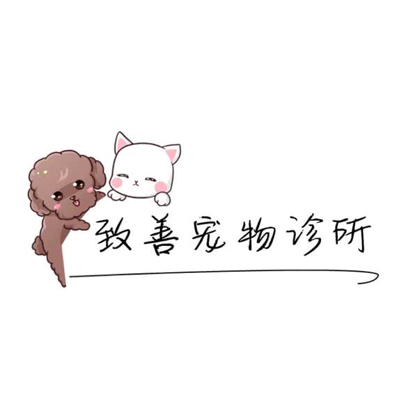 致善宠物诊所:丽水市莲都区丽青路沿线附近