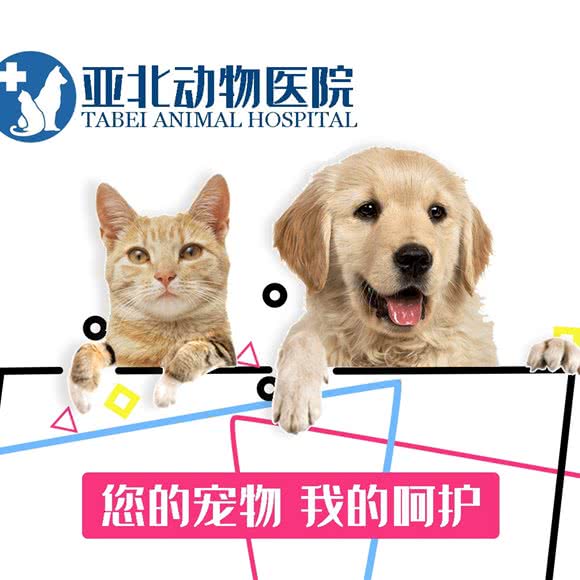亚北动物医院:北京城区昌平区北七家附近