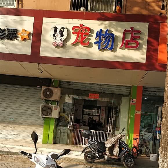 哆哆宠物店:合肥市瑶海区长江东路附近