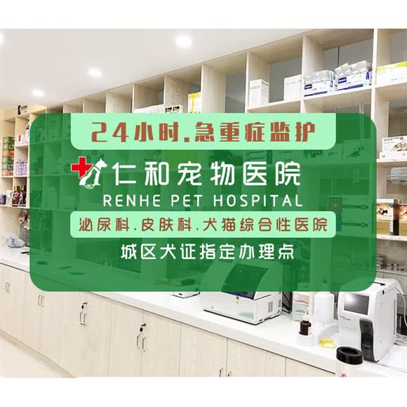 仁和宠物医院(胜利广场店):合肥市瑶海区元一广场附近