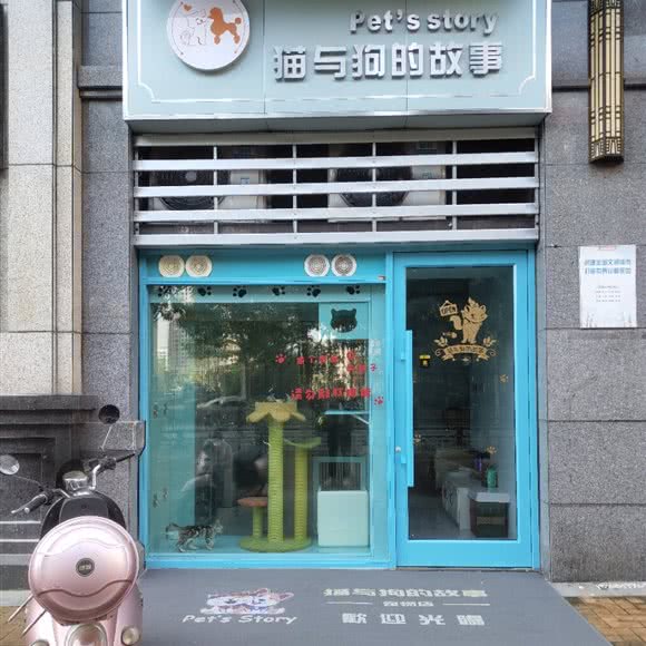 猫与狗的故事(瑶海万达店):合肥市瑶海区瑶海万达广场附近