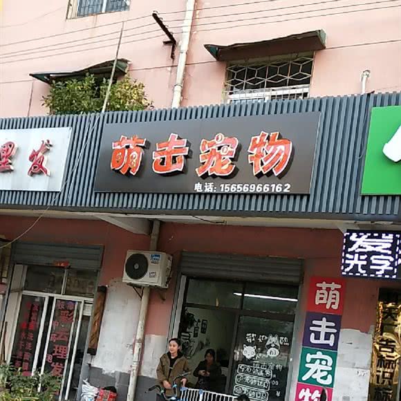 萌击宠物:合肥市瑶海区瑶海万达广场附近