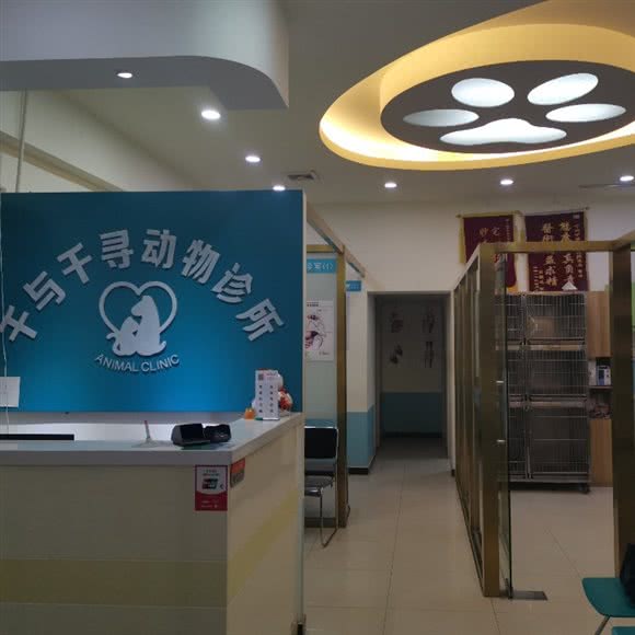 千与千寻动物医院:北京城区昌平区北七家附近