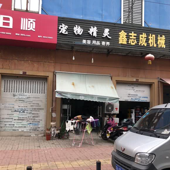 宠物精灵:合肥市瑶海区合裕路附近