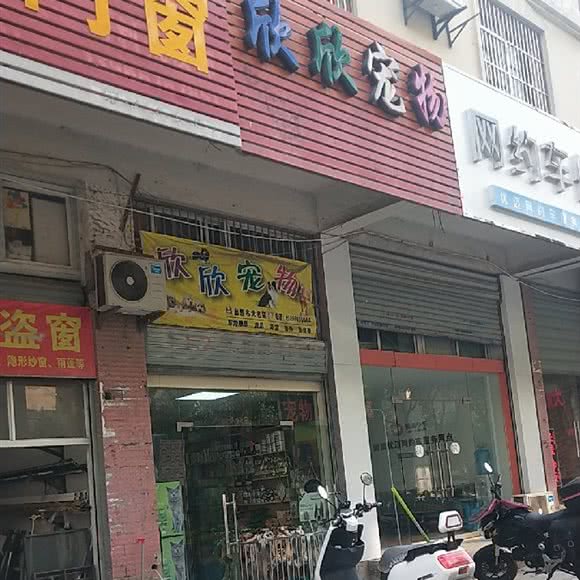 欣欣宠物:合肥市瑶海区合裕路附近