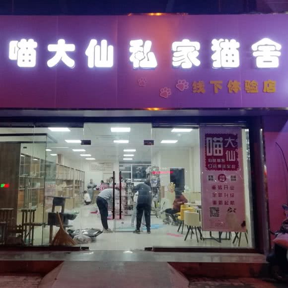 喵大仙私家猫舍线下体验店:合肥市瑶海区临泉路附近