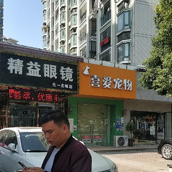 喜爱狗狗:合肥市瑶海区元一名城附近