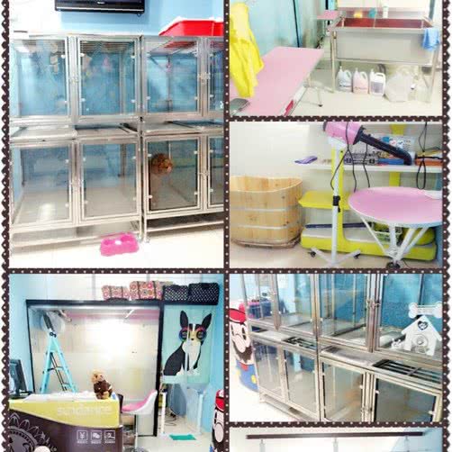 非宠物扰(元一名城店):合肥市瑶海区元一名城附近