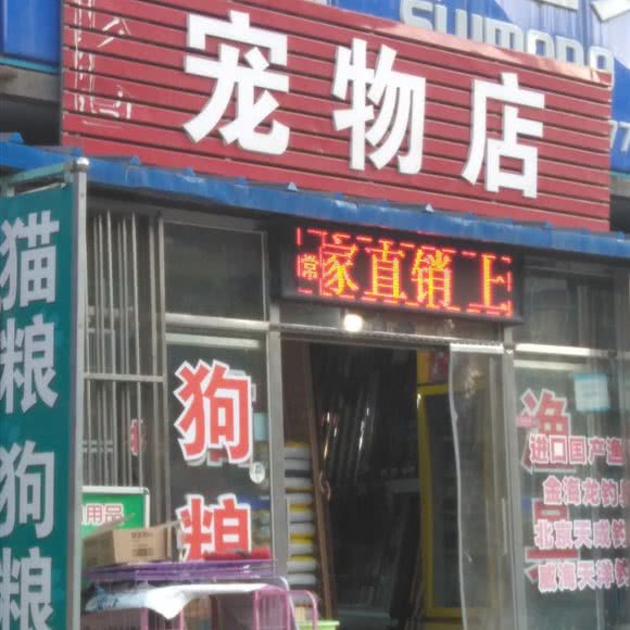 宠物店:北京城区昌平区沙河附近