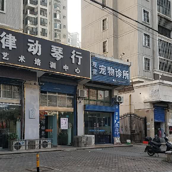 观赏宠物诊所(元一名城店):合肥市瑶海区元一名城附近