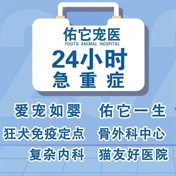 佑它宠物医院:合肥市瑶海区元一名城附近