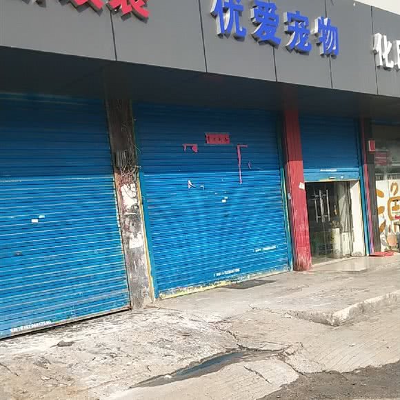 优爱宠物:合肥市瑶海区长江东大街附近