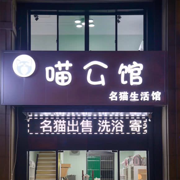 喵公馆:合肥市瑶海区郎溪路附近