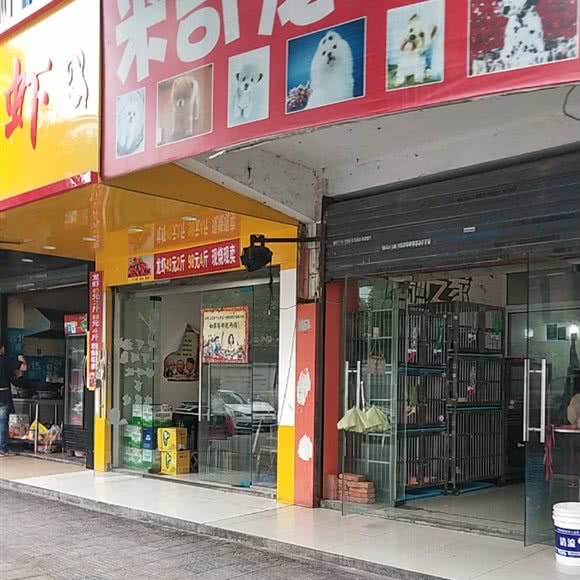 米奇宠物店(元一店):合肥市瑶海区明光路汽车站附近