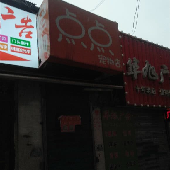 点点宠物店:合肥市庐阳区淮河路步行街附近