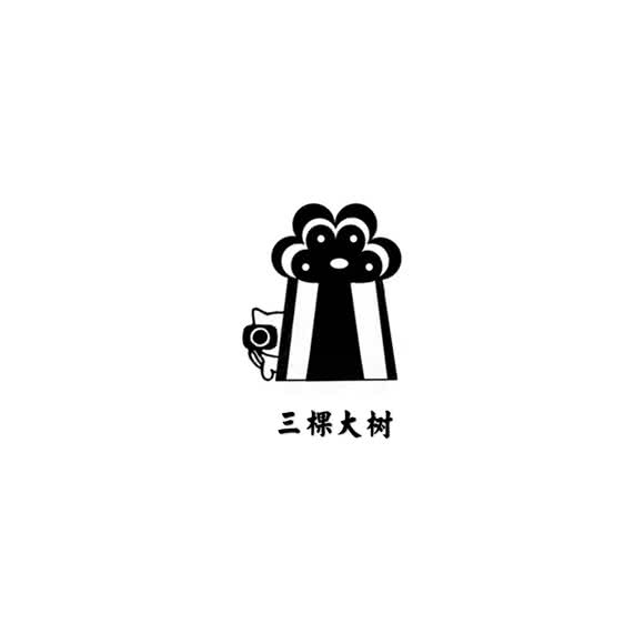 三棵大树猫咖·狗咖·羊驼·售宠:合肥市庐阳区淮河路步行街附近