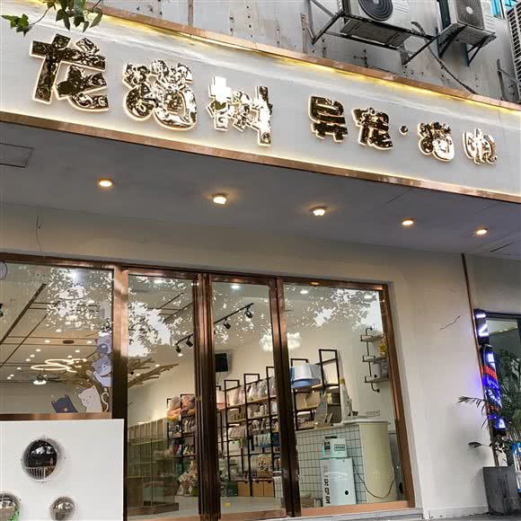 龙猫树异宠会所:合肥市庐阳区市府广场附近