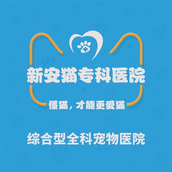 新安宠物医院·猫专科:合肥市庐阳区亳州路附近