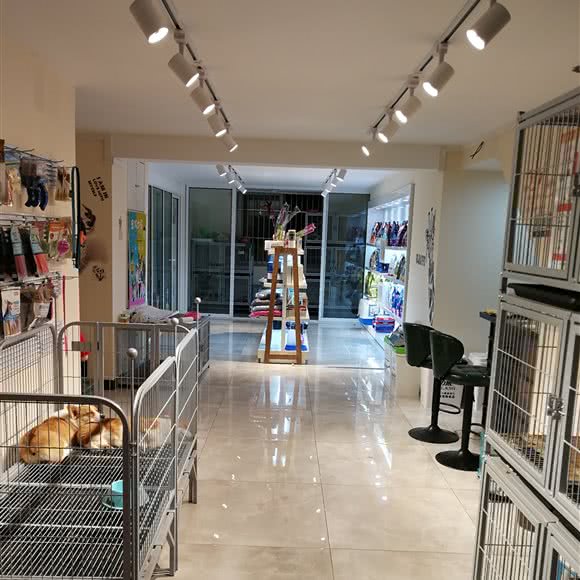 e宠宠物生活馆:合肥市庐阳区白水坝附近