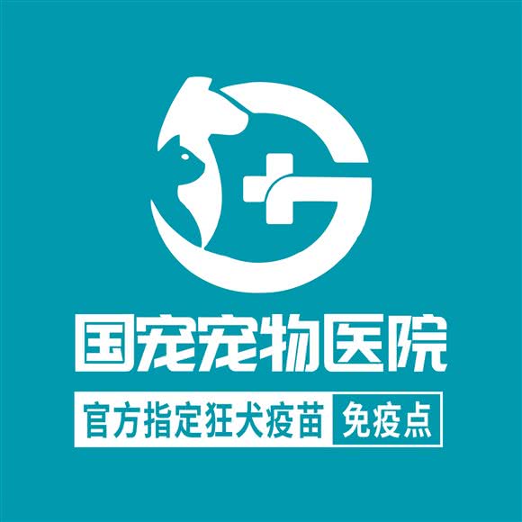 国宠宠物医院:合肥市庐阳区三孝口/女人街附近