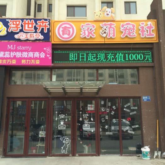 囿家萌宠社:北京城区昌平区沙河附近
