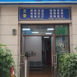 道宠宠物医院:合肥市庐阳区四里河附近