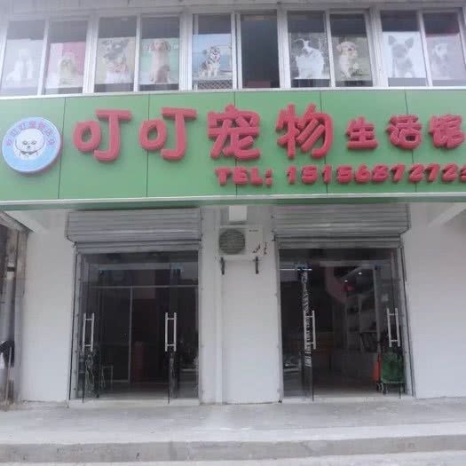 叮叮宠物生活馆:合肥市庐阳区双岗附近