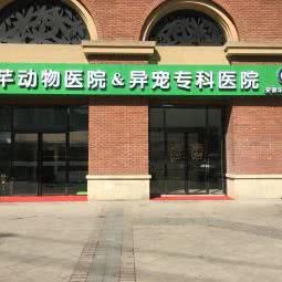 乐芊动物医院:合肥市庐阳区橡树湾附近