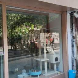 开心泡泡宠物店:合肥市庐阳区红星路附近