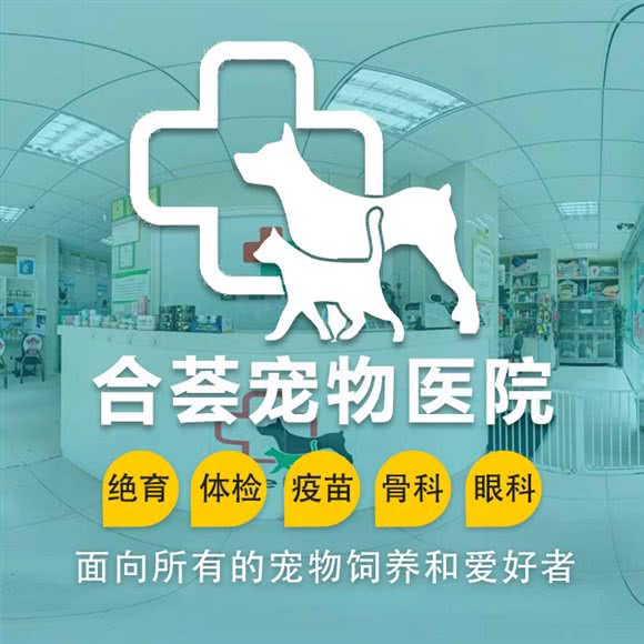 合荟宠物医院:合肥市庐阳区汇银广场附近
