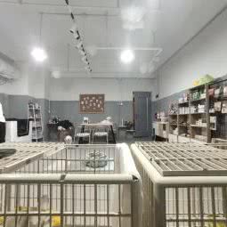TiAmo宠物工作室:合肥市蜀山区天鹅湖万达广场附近