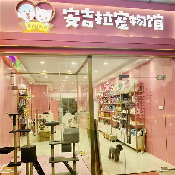 安吉拉宠物生活馆:合肥市蜀山区天鹅湖万达广场附近