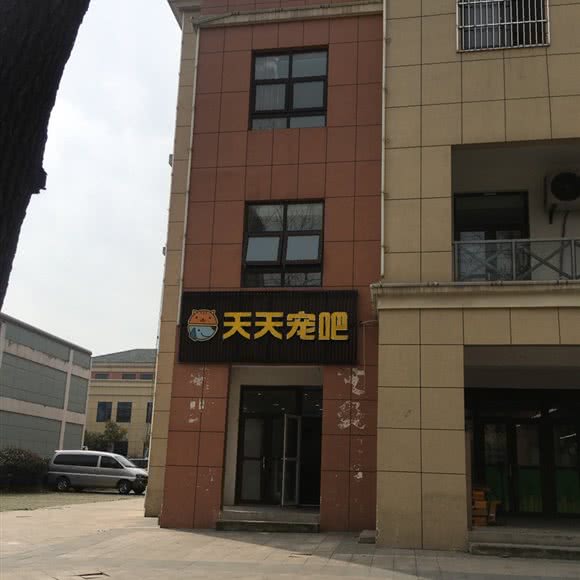 天天宠吧:合肥市蜀山区十里庙附近