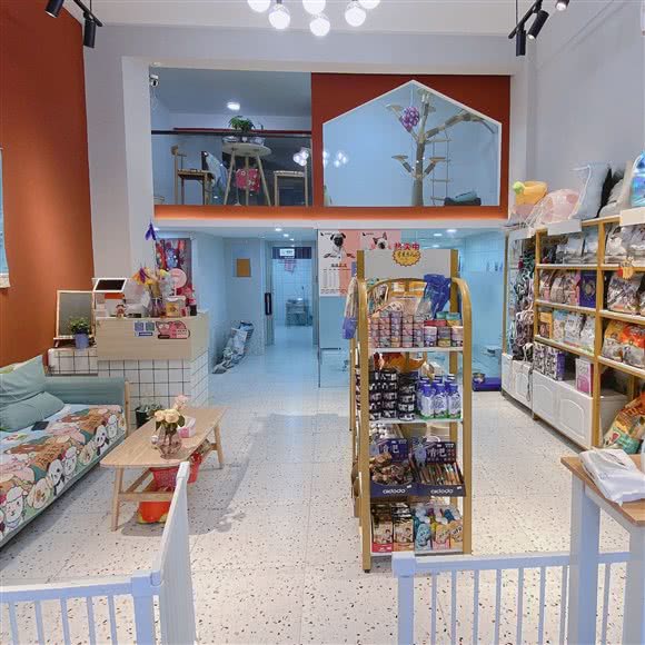 喵来狗往宠物店:合肥市蜀山区南七里站附近