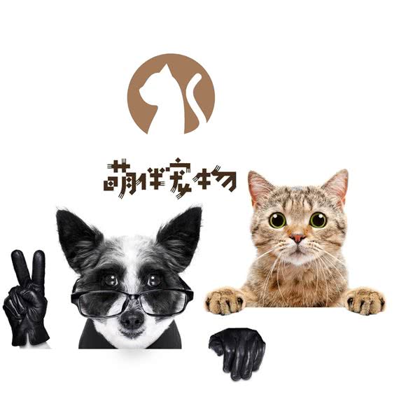 萌伴宠物美容店·猫咖(国购广场店):合肥市蜀山区三里庵附近