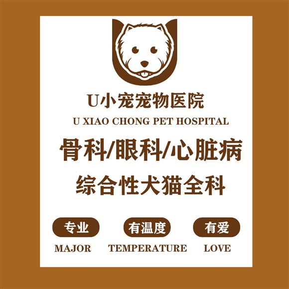 U小宠宠物医院:合肥市包河区万达广场附近