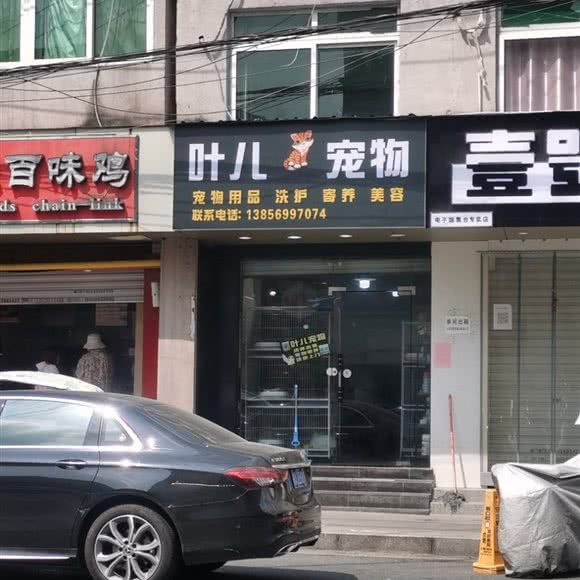 叶儿宠物:合肥市包河区宁国路商业区附近
