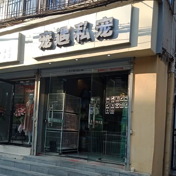 宠遇私宠:合肥市包河区宁国路商业区附近