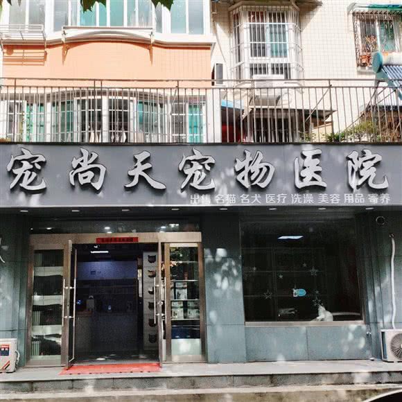 宠尚天宠物医院:合肥市包河区徽州大道附近