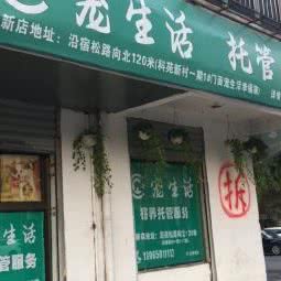 宠日常生活幸福家:合肥市包河区太湖路附近