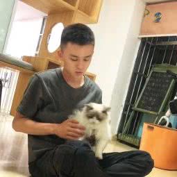 帕比宠物生活馆:合肥市包河区太湖路附近