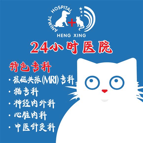 恒幸动物医院24H(万振逍遥苑总院):合肥市包河区太湖路附近