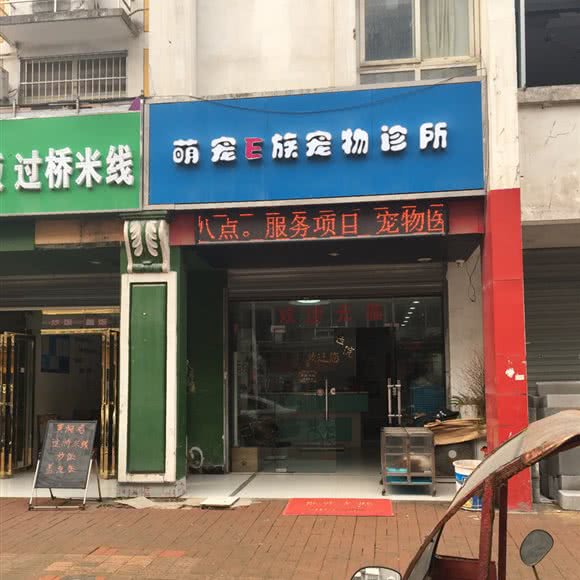萌宠E族:合肥市包河区包河花园附近