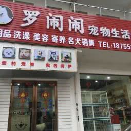 罗闹闹宠物生活馆:合肥市包河区望江东路附近