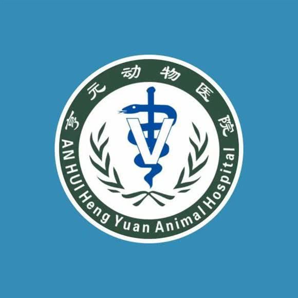 亨元动物诊所(珠光花园店):合肥市包河区望江东路附近