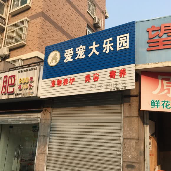 爱宠小乐园:合肥市包河区大摩广场附近