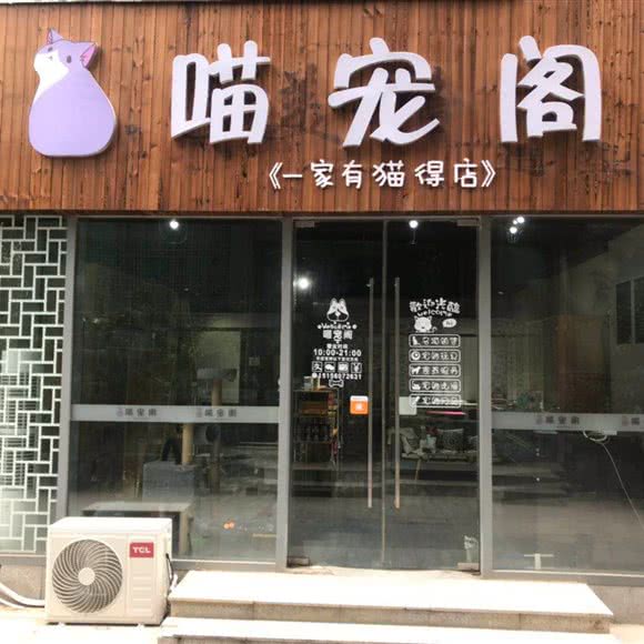 喵宠阁:合肥市包河区元一哈街附近