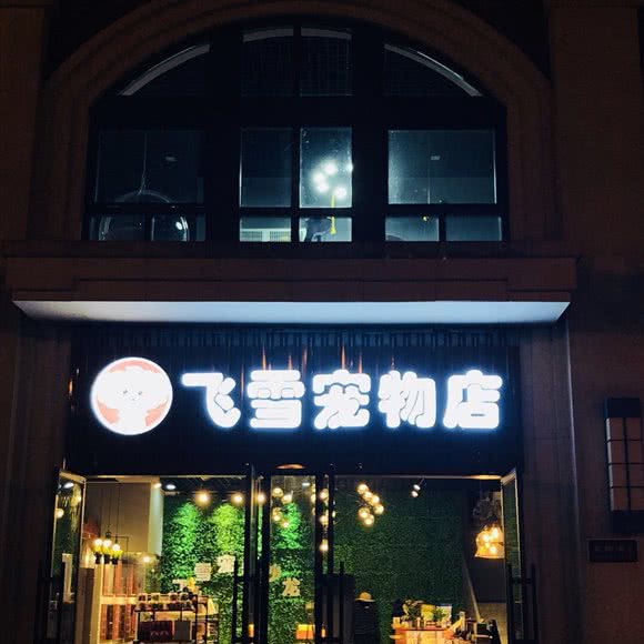 飞雪宠物店:合肥市包河区滨湖文化旅游城附近